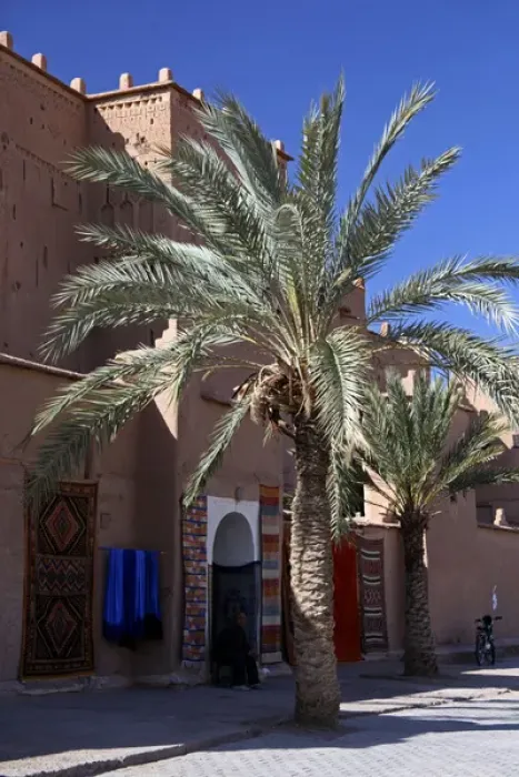Framed Print : Africa, Morocco, Ouarzazate. Berber Carpets of Ourzazate Framed Print : Africa, Morocco, Ouarzazate. Berber Carpets of Ourzazate