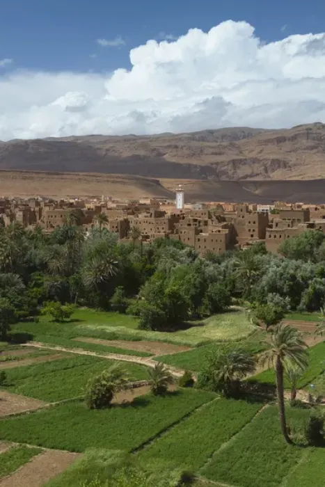 Framed Print : Africa, Morocco, Tinerhir. The lush oasis outside of Tinerhir, in Todra Gorge