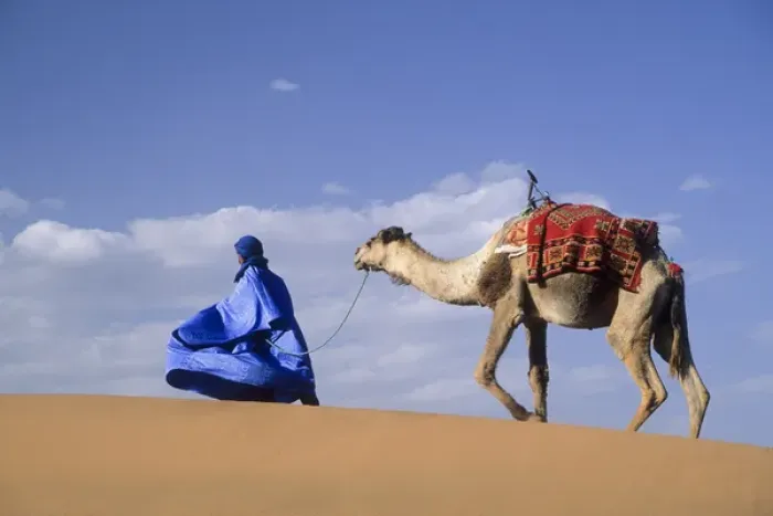 Framed Print : Africa, Morocco, Tinfou (near Zagora) Man in traditional dress leading camel on sand dunes Framed Print : Africa, Morocco, Tinfou (near Zagora) Man in traditional dress leading camel on sand dunes