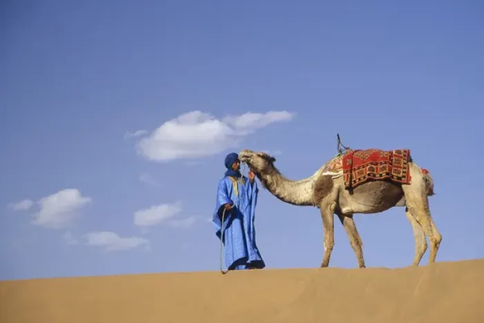 Framed Print : Africa, Morocco, Tinfou (near Zagora) Man in traditional dress leading camel on sand dunes