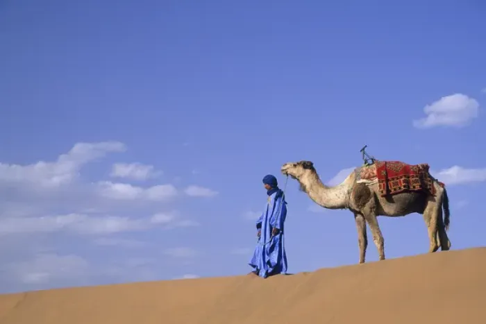 Framed Print : Africa, Morocco, Tinfou (near Zagora) Man in traditional dress leading camel on sand dunes Framed Print : Africa, Morocco, Tinfou (near Zagora) Man in traditional dress leading camel on sand dunes