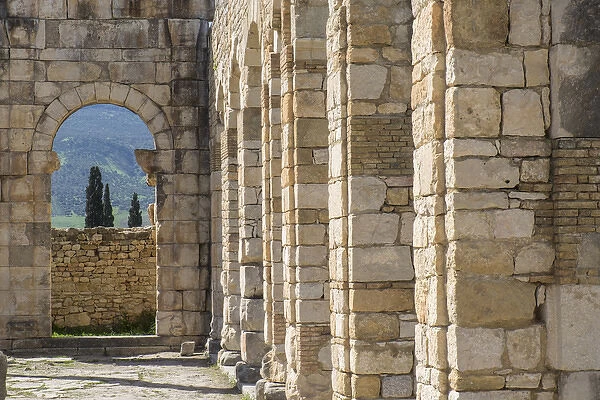 Africa, Morocco, Volubilis. Archeological site of ancient Roman ruins