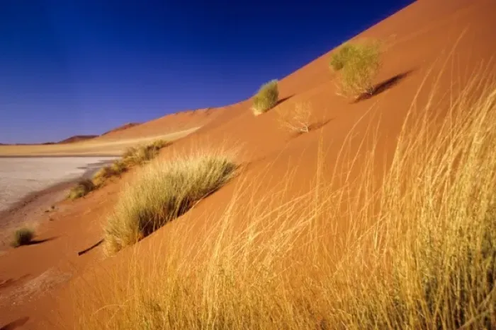 Framed Print : Africa, Namibia