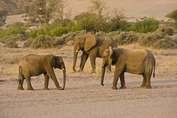 Africa, Namibia