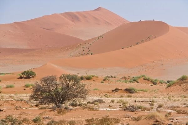 Africa, Namibia