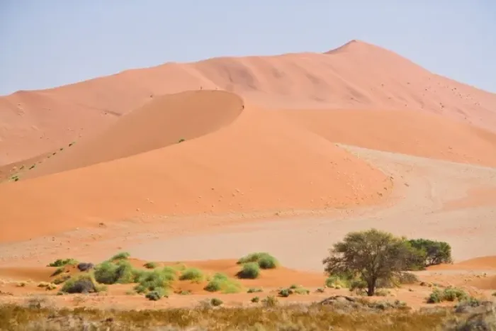 Framed Print : Africa, Namibia