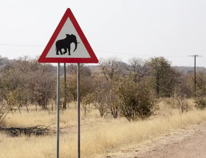 Framed Print : Africa, Namibia, Damaraland. Sign warning about elephants