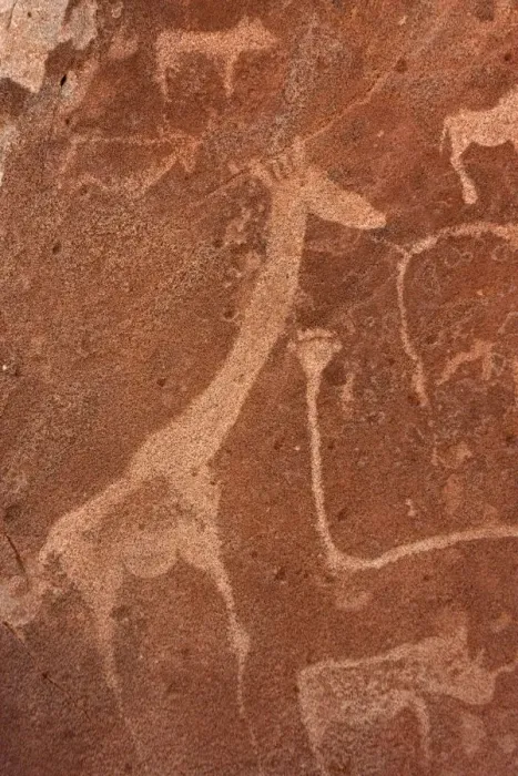 Framed Print : Africa, Namibia, Damaraland, Twyfelfontein. Close-up of rock engravings or petroglyphs Framed Print : Africa, Namibia, Damaraland, Twyfelfontein. Close-up of rock engravings or petroglyphs