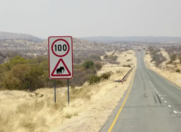 Framed Print : Africa, Namibia, Etosha National Park. Speed limit and elephant caution sign. Credit as Framed Print : Africa, Namibia, Etosha National Park. Speed limit and elephant caution sign. Credit as