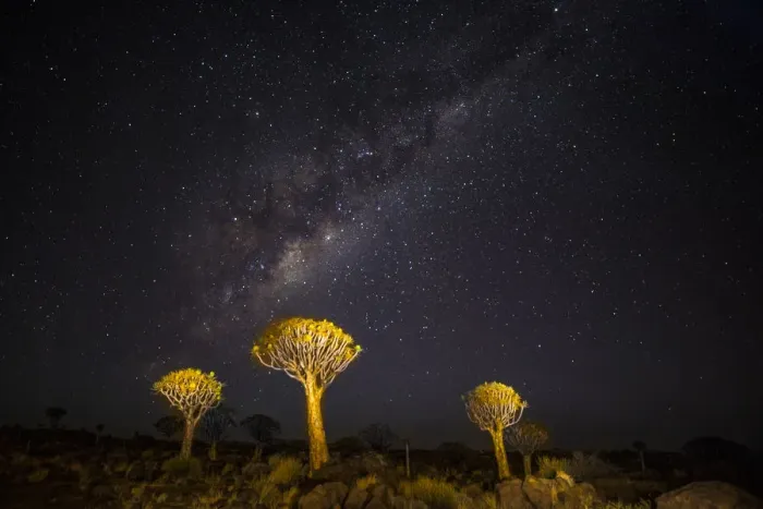 Framed Print : Africa, Namibia, Keetmanshoop. Milky Way over the Quiver tree Forest