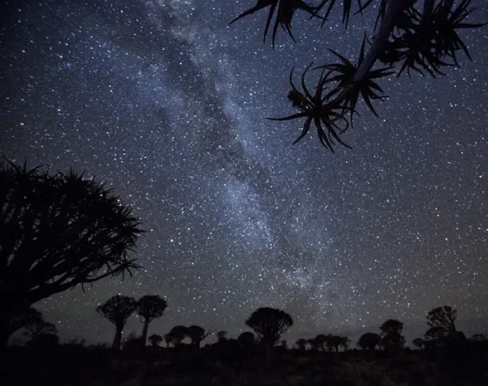 Framed Print : Africa, Namibia. Milky Way and quiver trees at night Framed Print : Africa, Namibia. Milky Way and quiver trees at night