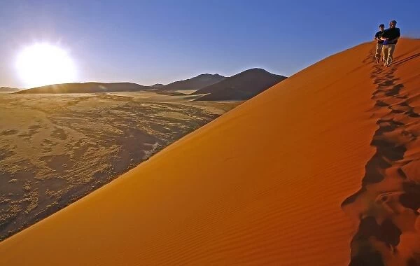 Africa, Namibia. Namib Desert. Dune 45 in the Namib-Nauklift Desert. These are the highest