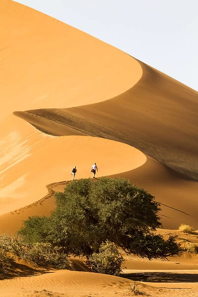 Africa, Namibia, Namib Desert, Namib-Naukluft National Park, Sossusvlei