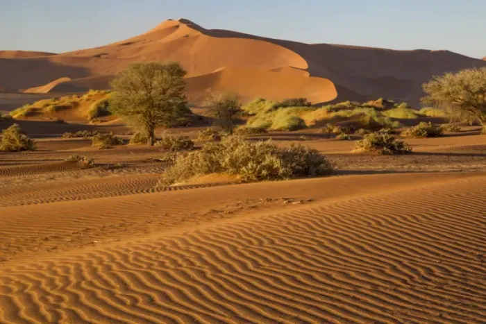 Framed Print : Africa, Namibia, Namib Desert, Namib-Naukluft National Park, Sossusvlei