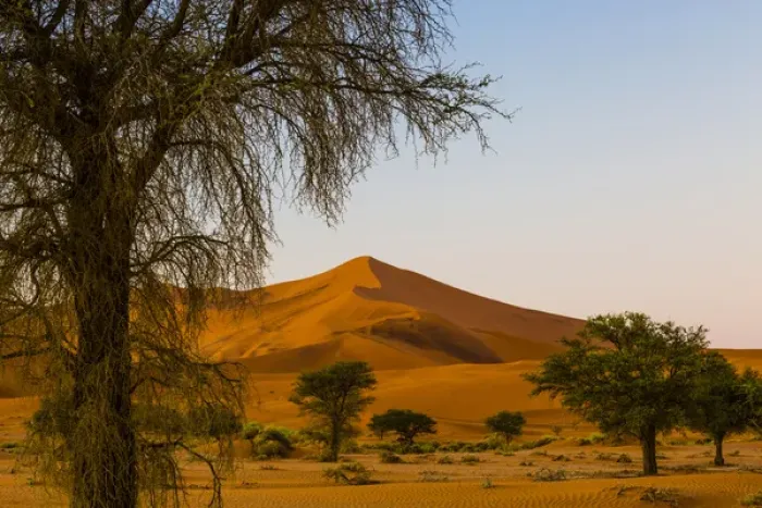 Framed Print : Africa, Namibia, Namib-Naukluft National Park