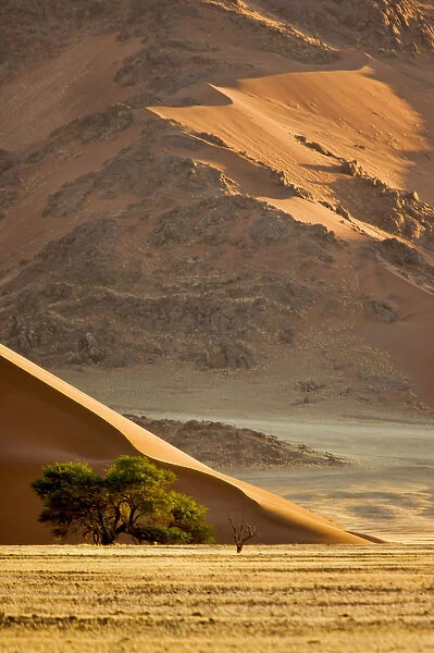 Africa, Namibia, Namib-Naukluft National Park, Sossusvlei