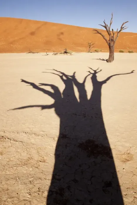 Framed Print : Africa, Namibia, Namib-Naukluft Park, Sossusvlei. Dead tree casts shadow on dry lakebed