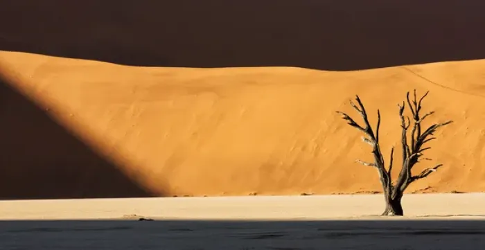 Framed Print : Africa, Namibia, Namib-Naukluft Park, Dead Vlei. A dead tree illuminated by a shaft of sunlight