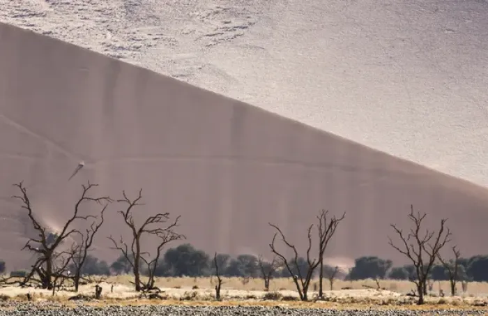 Framed Print : Africa, Namibia, Namib-Naukluft Park. Sand dunes and skeleton trees