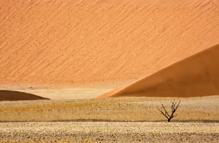 Framed Print : Africa, Namibia, Namib-Naukluft Park. Sand dunes and lone dead tree Framed Print : Africa, Namibia, Namib-Naukluft Park. Sand dunes and lone dead tree