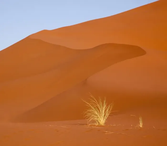 Framed Print : Africa, Namibia, Namib-Naukluft Park. Bushmans grass and red sand dune. Credit as