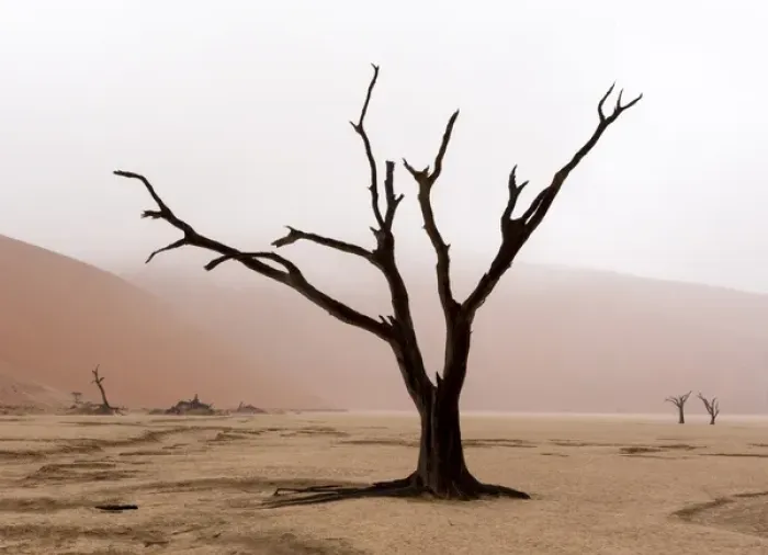 Framed Print : Africa, Namibia, Namib-Naukluft Park, Deadvlei. Unusual rainy weather conditions in early morning Framed Print : Africa, Namibia, Namib-Naukluft Park, Deadvlei. Unusual rainy weather conditions in early morning