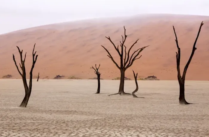 Framed Print : Africa, Namibia, Namib-Naukluft Park, Deadvlei. Unusual rainy weather conditions in early morning