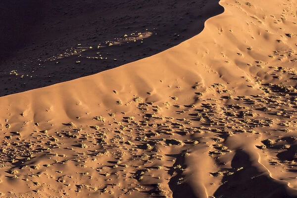 Africa, Namibia, Namib-Naukluft Park. Aerial of sand dune