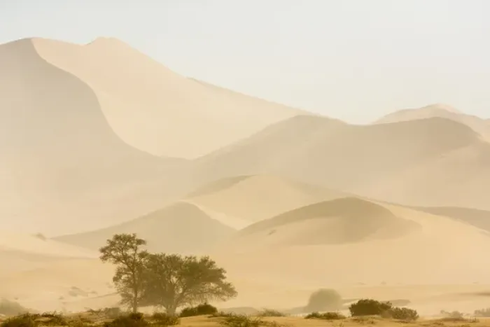 Framed Print : Africa, Namibia, Namib-Naukluft Park. Sandstorm over desert Framed Print : Africa, Namibia, Namib-Naukluft Park. Sandstorm over desert