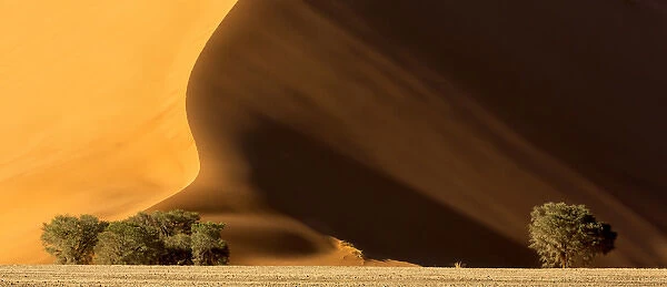 Africa, Namibia, Namib-Naukluft Park. Dune at sunset