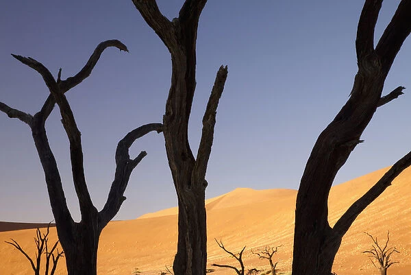 Africa, Namibia, Namib-Naukluft Park, Sossusvlei