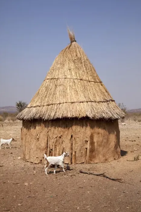 Framed Print : Africa, Namibia, Opuwo. Goats and hut in a Himba village Framed Print : Africa, Namibia, Opuwo. Goats and hut in a Himba village