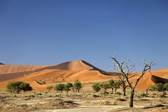 Framed Print : Africa, Namibia, Sossusvlei