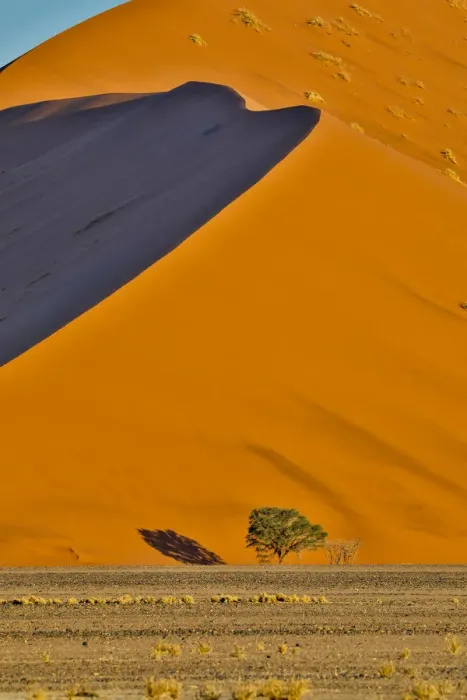 Framed Print : Africa, Namibia, Sossusvlei. Dune in the afternoon Framed Print : Africa, Namibia, Sossusvlei. Dune in the afternoon
