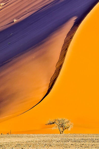 Africa, Namibia, Sossusvlei Dune in the Afternoon Light