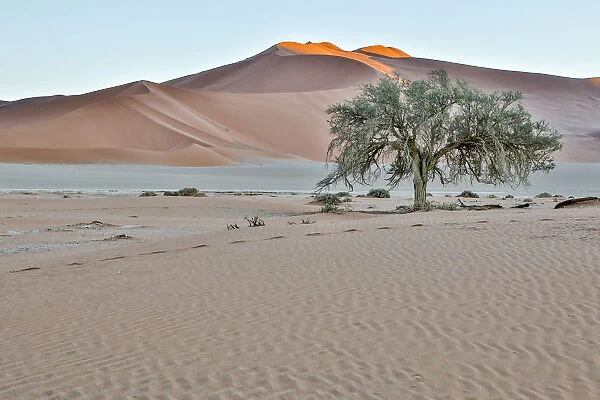 Africa, Namibia, Sossusvlei Dunes