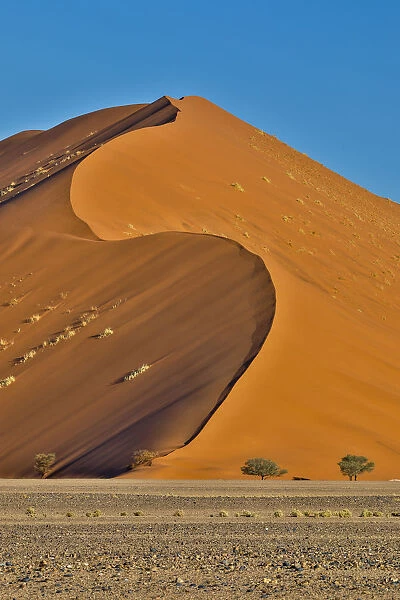 Africa, Namibia, Sossusvlei. Dunes in the afternoon