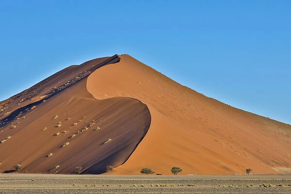 Africa, Namibia, Sossusvlei Dunes in the Afternoon Light