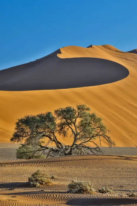Framed Print : Africa, Namibia, Sossusvlei Dunes in the Morning Light