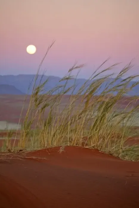 Framed Print : Africa, Namibia, Sossusvlei. The full moon rises over the NamibRand Nature Reserve in Sossusvlei Framed Print : Africa, Namibia, Sossusvlei. The full moon rises over the NamibRand Nature Reserve in Sossusvlei