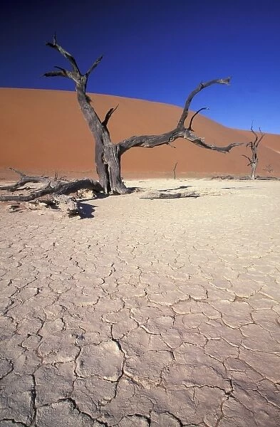 Africa, Namibia, Sossusvlei Region. Sand dunes