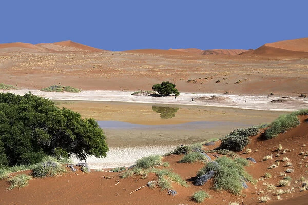 Africa, Namibia, Sossusvlei. Sossusvlei Pan, with some water