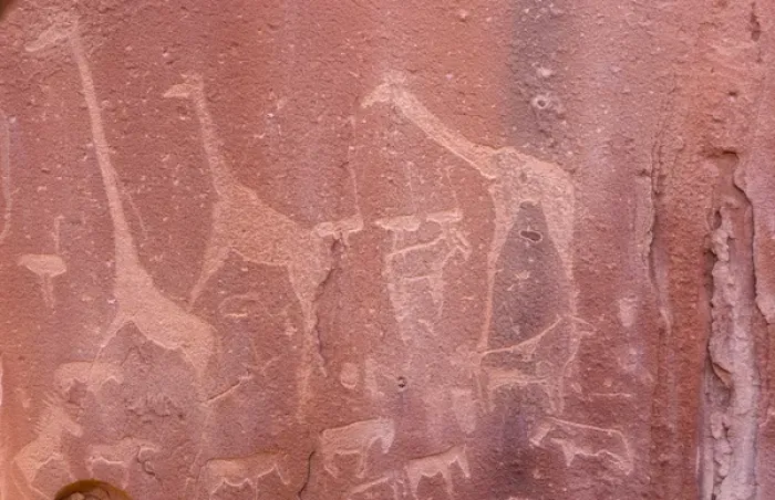 Framed Print : Africa, Namibia, Twyfwlfontein. Ancient rock art at Twyfelfontein Country Lodge