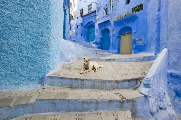 Framed Print : Africa, North Africa, Morocco, Chefchaouen or Chaouen is the chief town of the province Framed Print : Africa, North Africa, Morocco, Chefchaouen or Chaouen is the chief town of the province