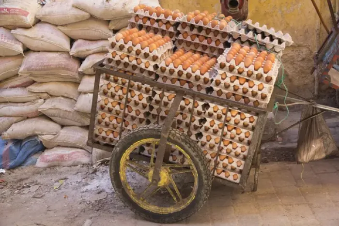 Framed Print : Africa, North Africa, Morocco, Fes, Fes el-Bali medina, the egg sellers cart