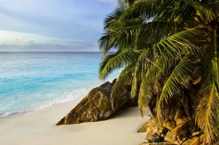 Framed Print : Africa, Seychelles Framed Print : Africa, Seychelles