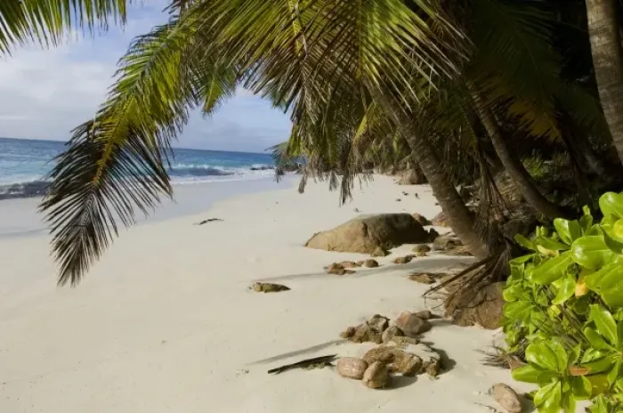 Framed Print : Africa, Seychelles Framed Print : Africa, Seychelles