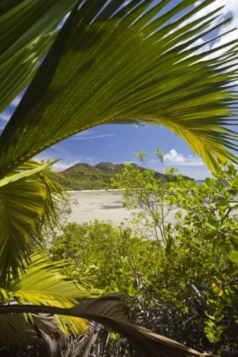 Framed Print : Africa, Seychelles