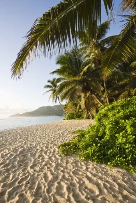 Framed Print : Africa, Seychelles
