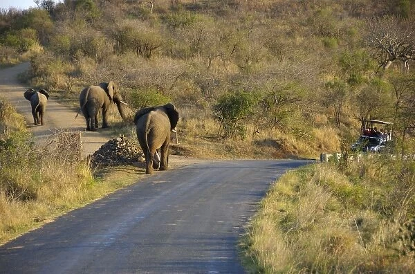 Africa, South Africa